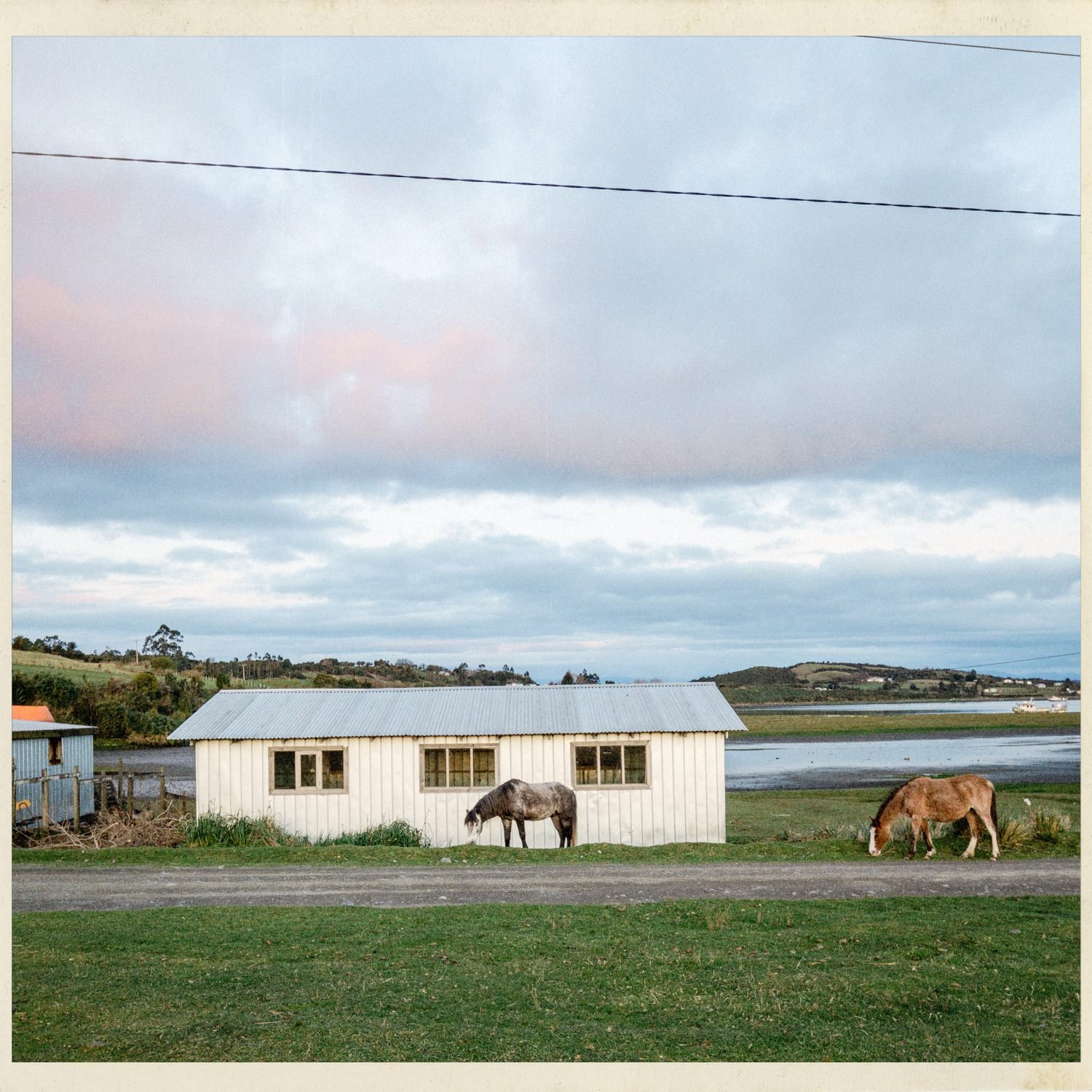 Casa blanca de madera con caballos pastando delante, en Apiao