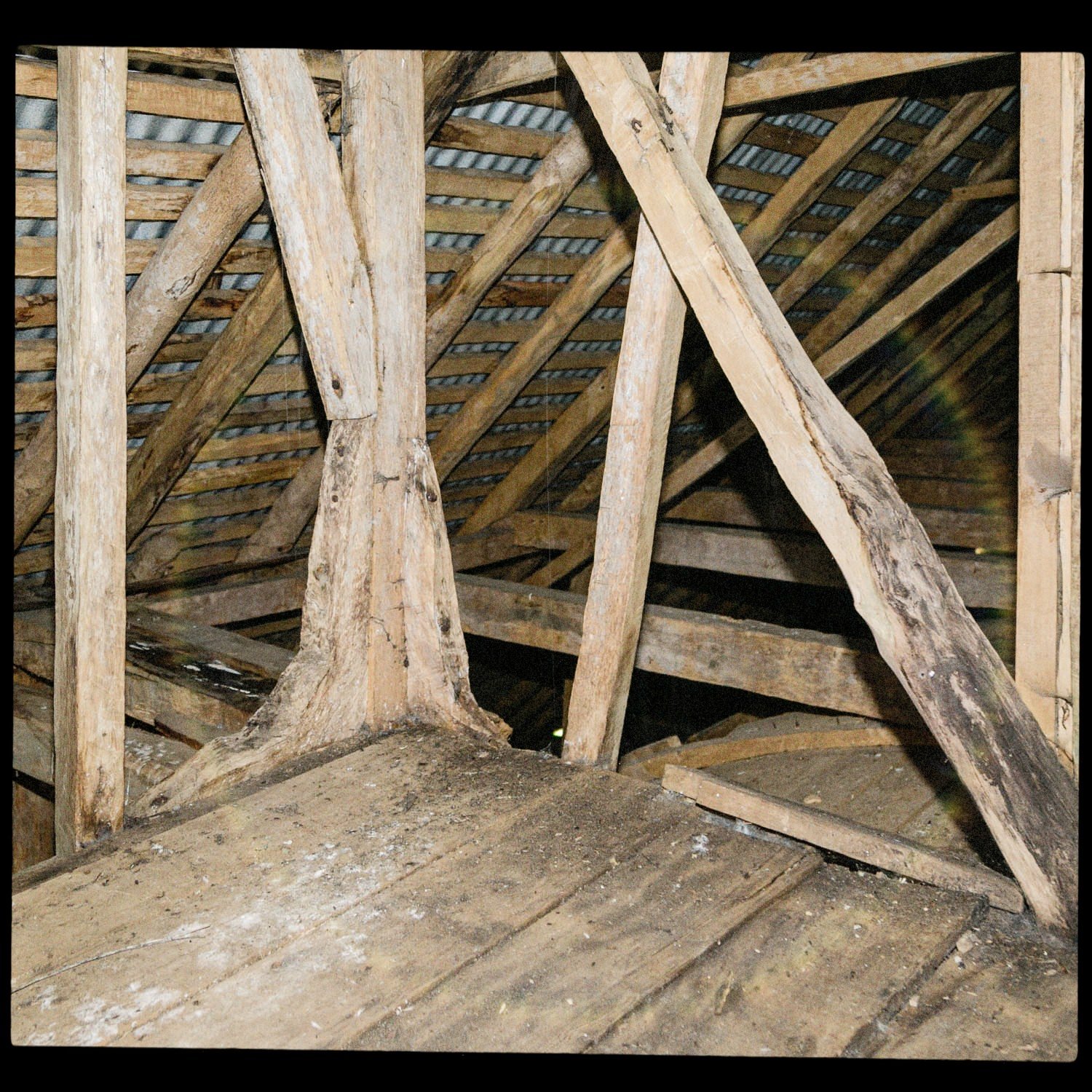 Estructura de madera del entretecho de la iglesia de Apiao