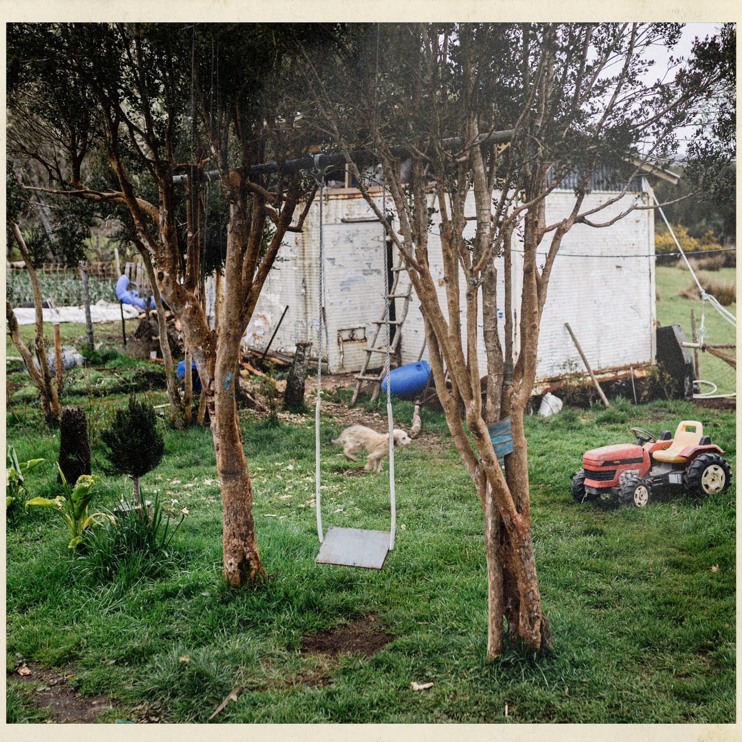 Patio con un columpio, árboles y un tractor de juguete, en Compu