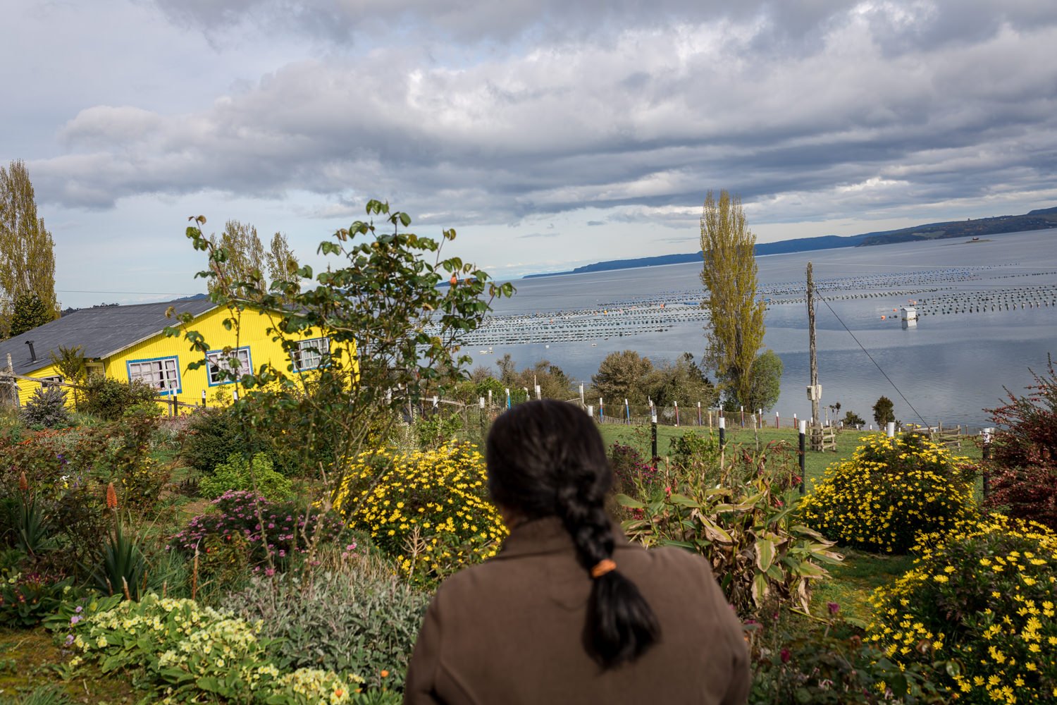 Una mujer mira un jardín florido con el mar al fondo, en la historia de Alicia y Eliana, en Lincay