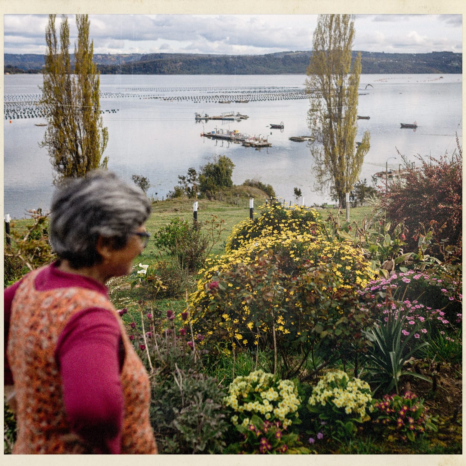 Una mujer camina por un jardín con el mar al fondo, en la historia de Alicia y Eliana, en Lincay