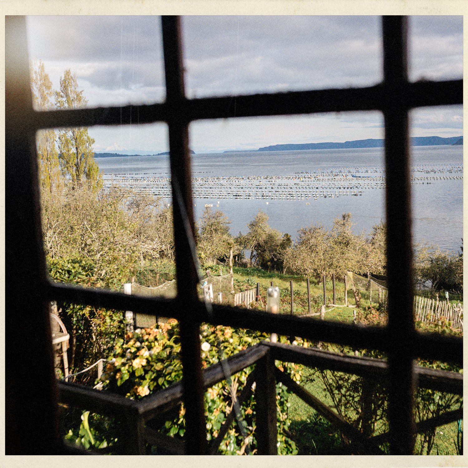 El mar de Lincay con cultivos visto a través de una ventana, sobre el jardín
