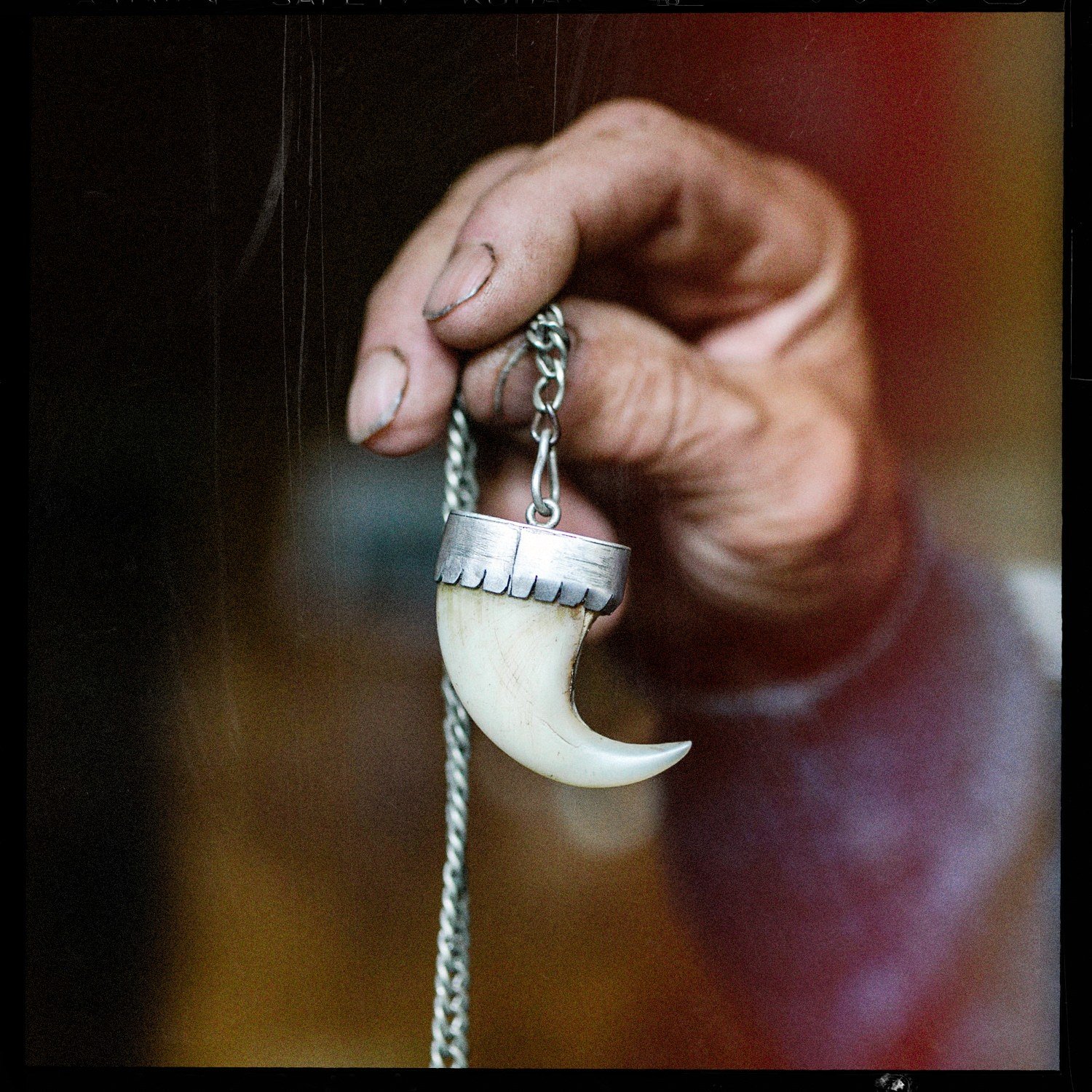 Una mano sostiene un colgante con un colmillo, de una cadena