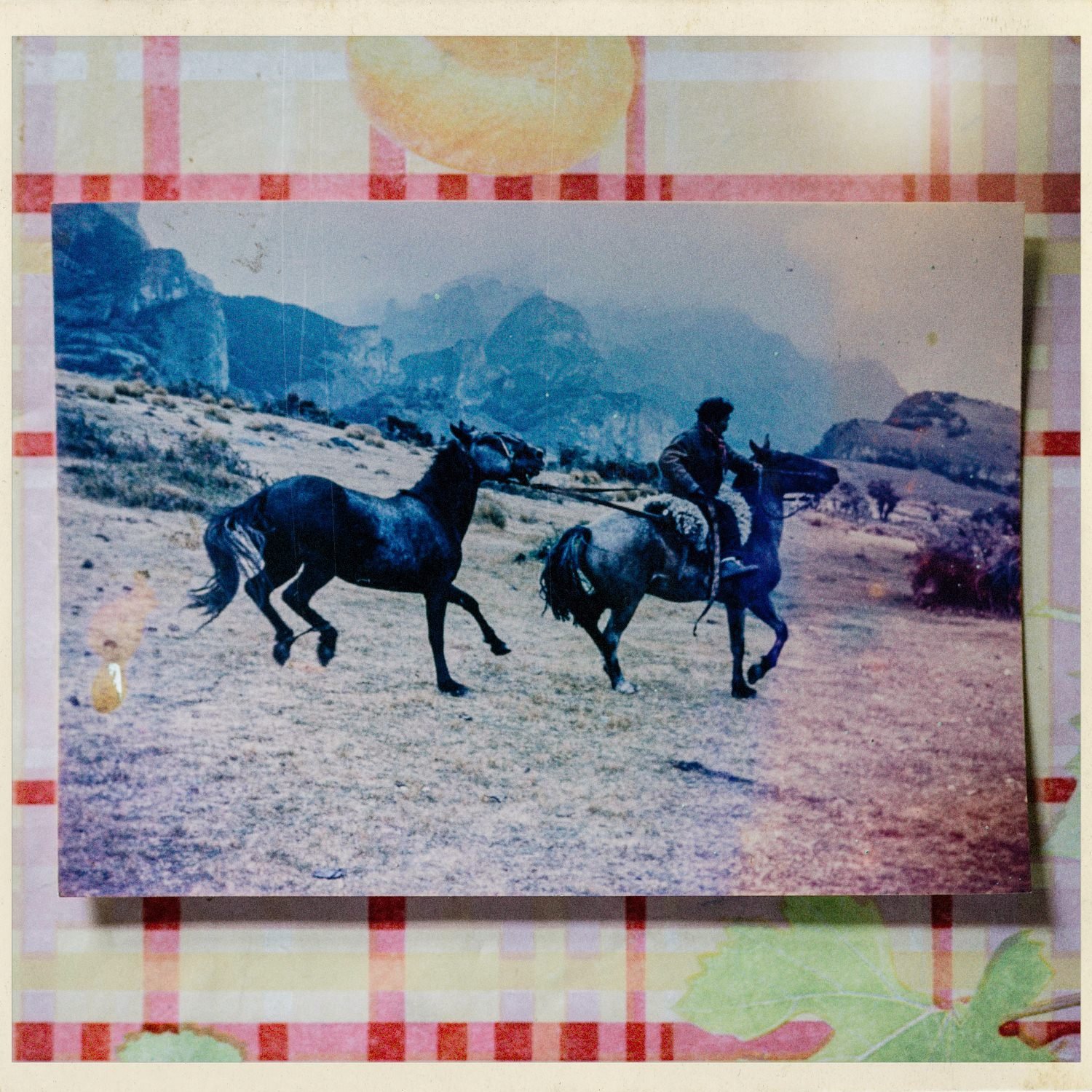 Fotografía antigua de un jinete y caballos en un paisaje de montaña