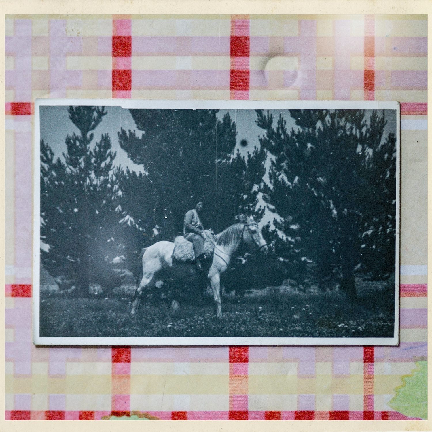 Fotografía antigua de un jinete en un caballo blanco, sobre un mantel a cuadros