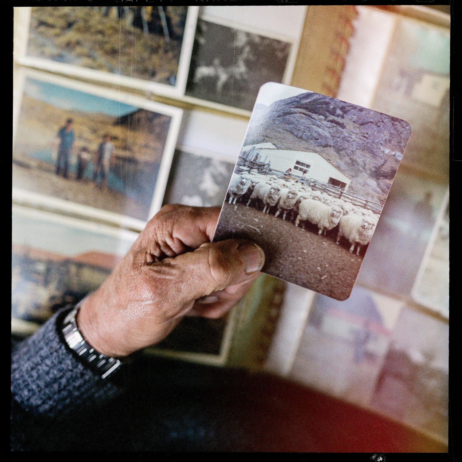 Una mano sostiene una fotografía antigua frente a un álbum