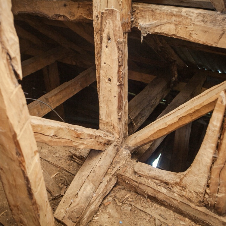 La estructura — Puchilco