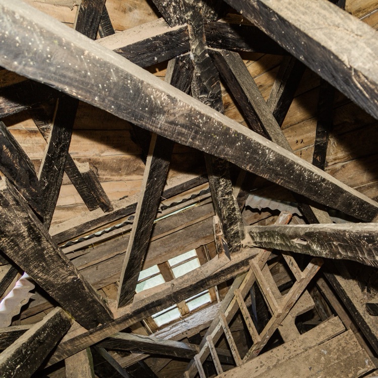La estructura — Quehui