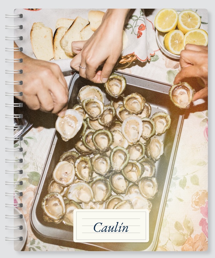 Cuaderno de Caulín