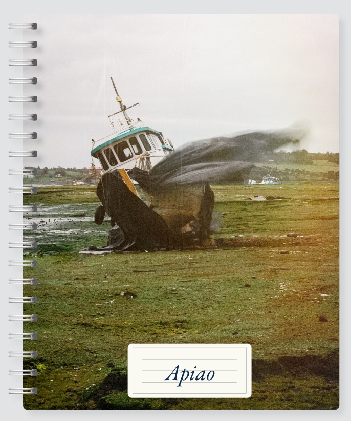 Cuaderno de Apiao