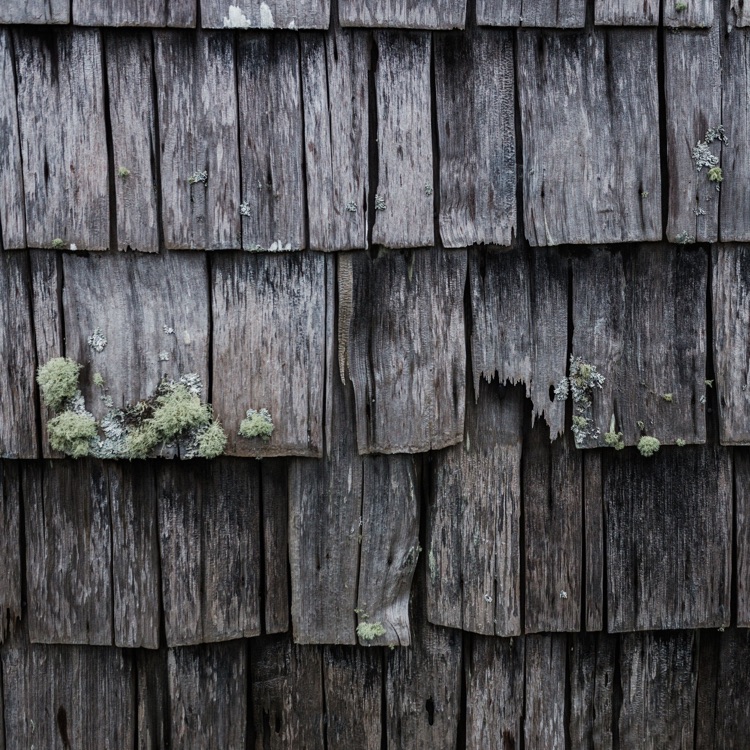 La piel — Apiao