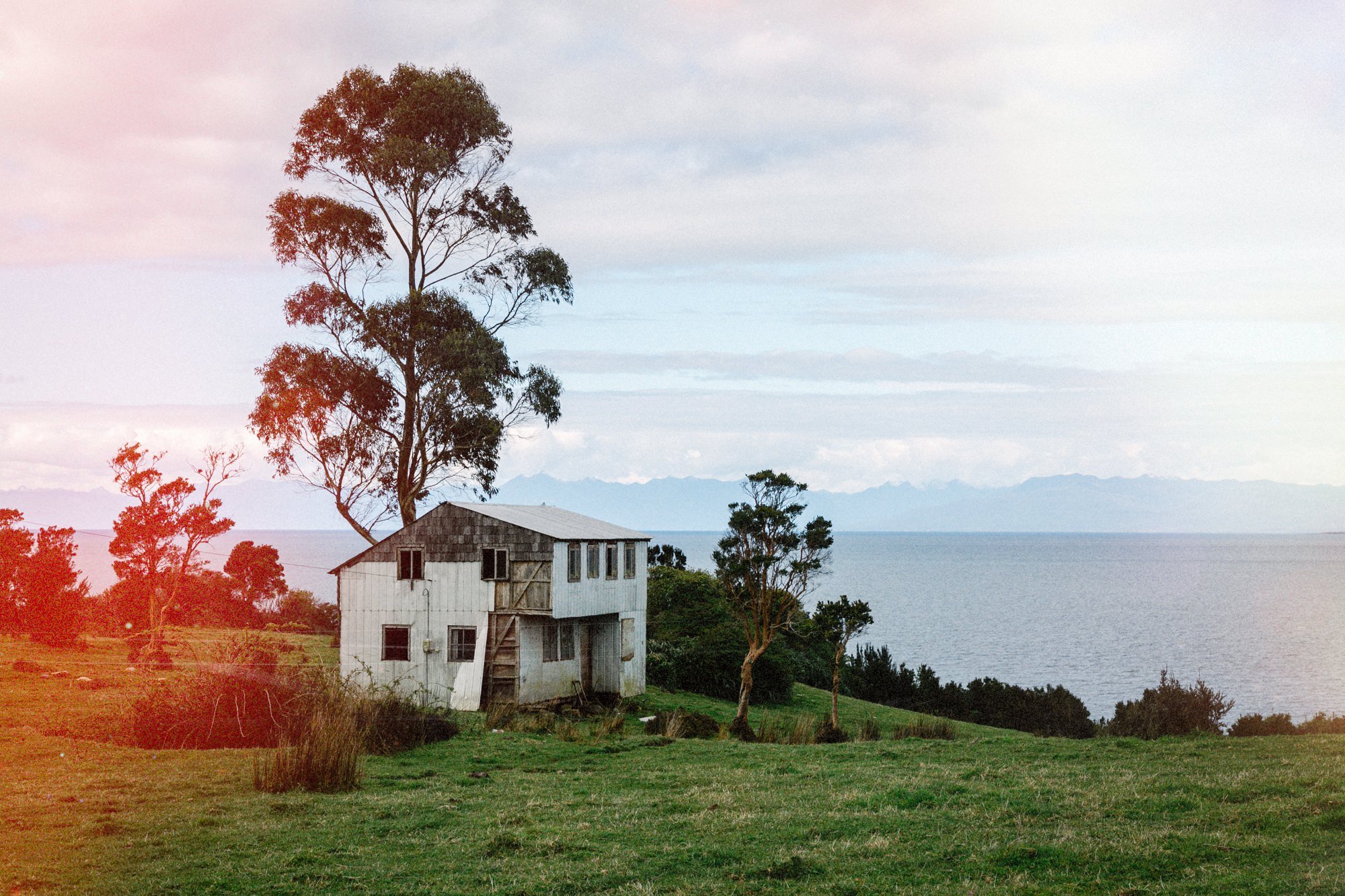Casa de madera junto a un árbol alto, frente al mar, en Apiao