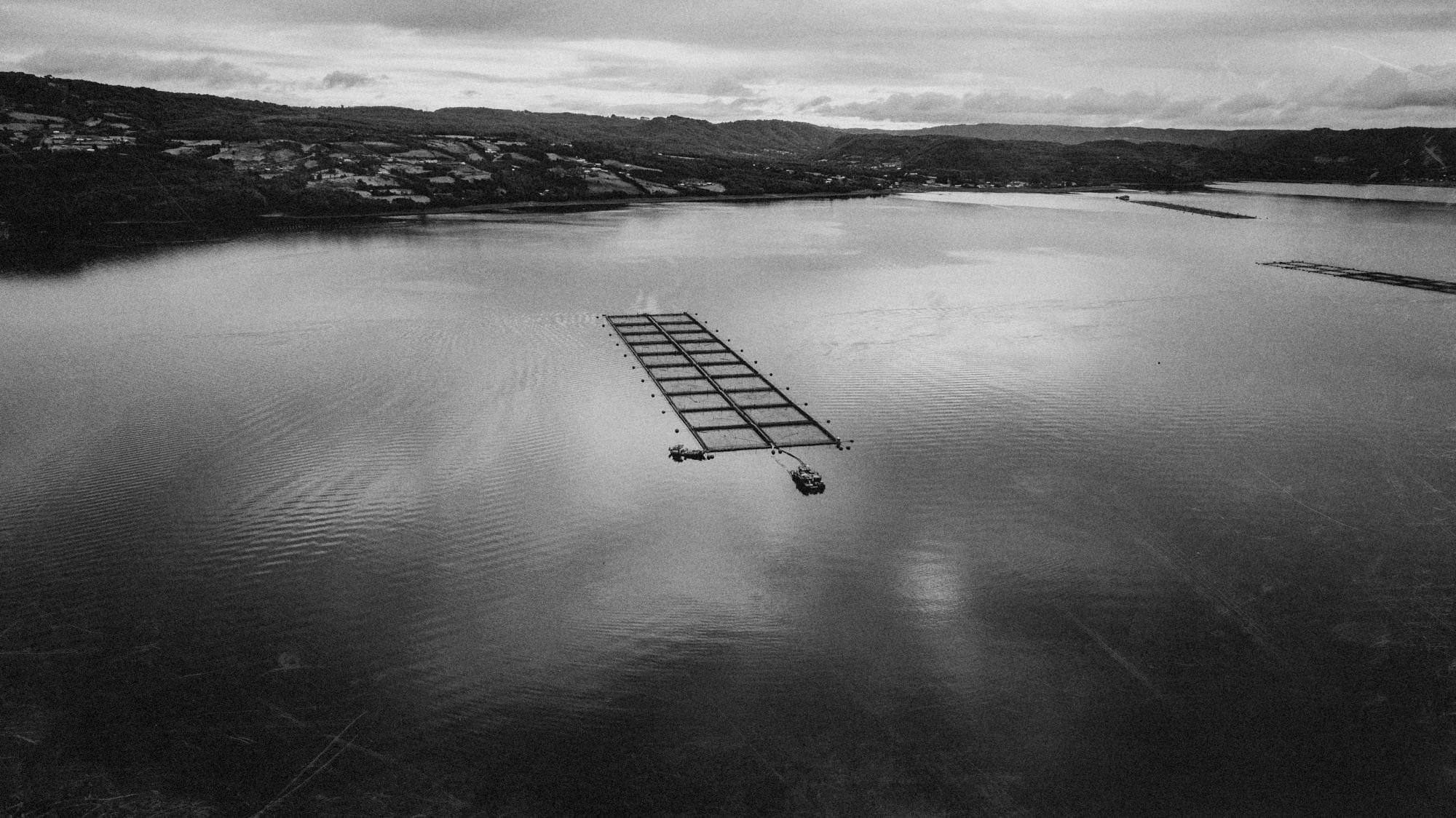 El mar de Compu con una balsa de cultivo, en blanco y negro