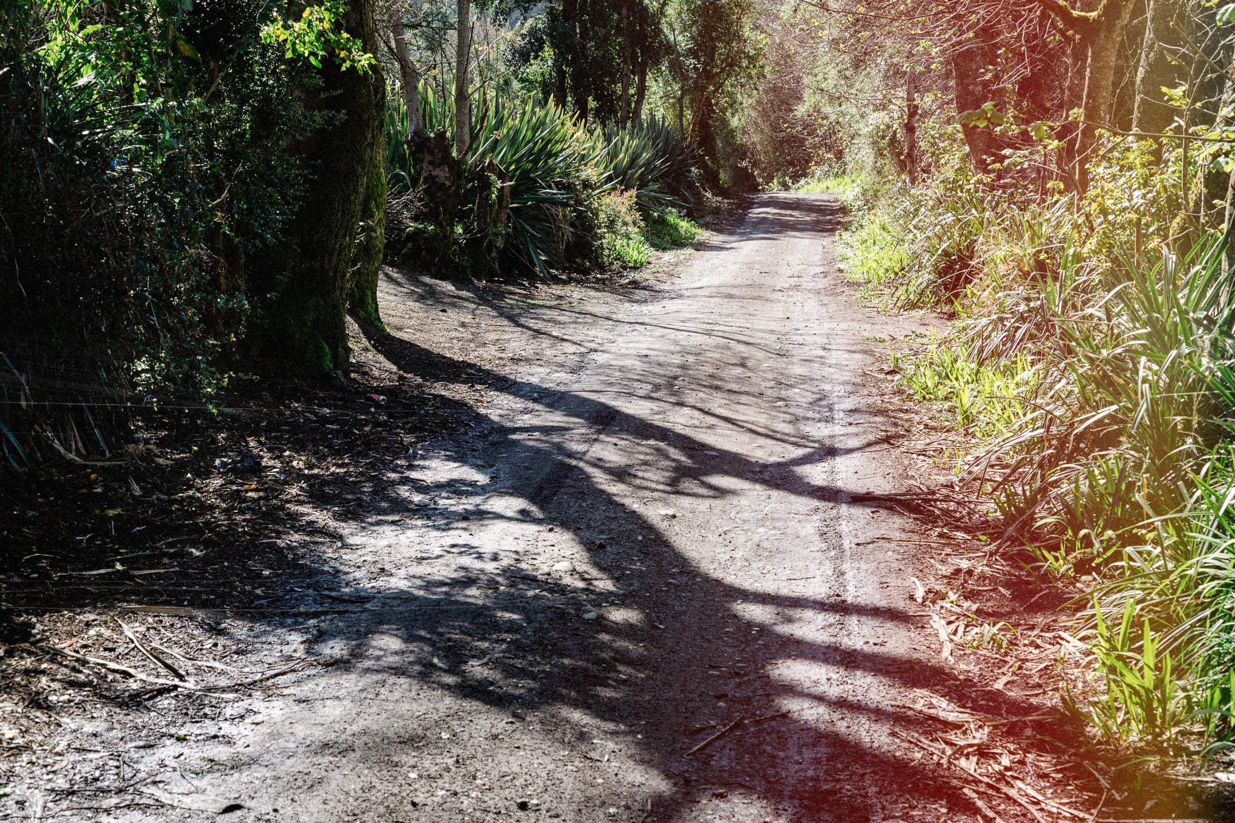 Sendero de tierra entre árboles, con luz y sombras, en Llingua