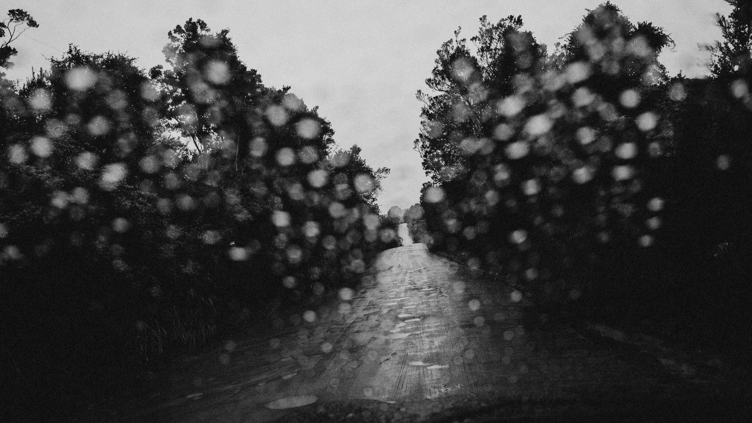 Camino entre árboles bajo la lluvia, visto desde un vehículo, en blanco y negro